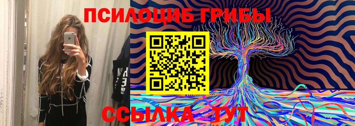 Галлюциногенные грибы прущие грибы  Вход с VPN  Галлюциногенные грибы мицелий  Новочеркасск 